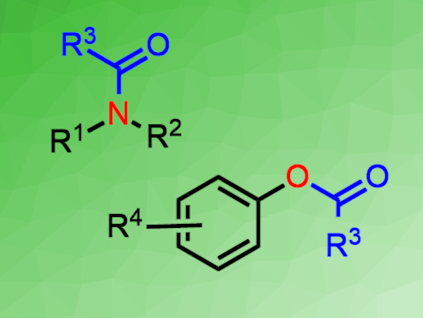 CO2-Promoted Acylation of Amines and Phenols