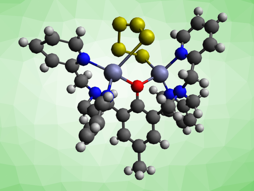 Binuclear Zinc(II) Complex with a Chelating Pentasulfido Chain